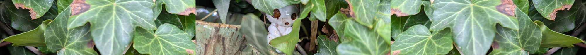 PXL_20260407_102440597 PXL_20260407_102440597